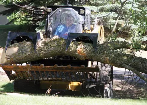Grapple Rod Bucket cutting large tree